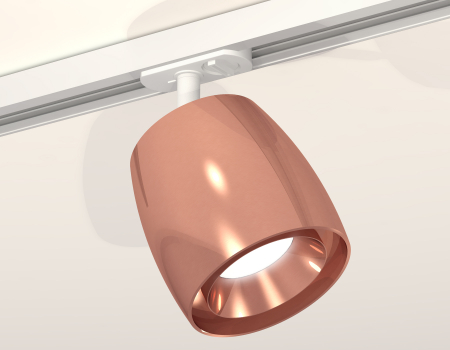 Ambrella Light XT1144001