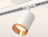 Ambrella Light XT7421004