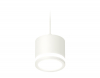 Ambrella Light XP8110020