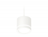 Ambrella Light XP8110021