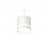 Ambrella Light XP8110023