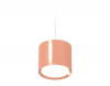Ambrella Light XP8122012