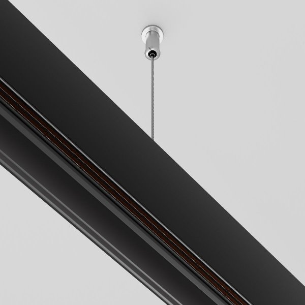 Тросовый подвес Maytoni Technical Accessories for Exility TRA034SW-2B