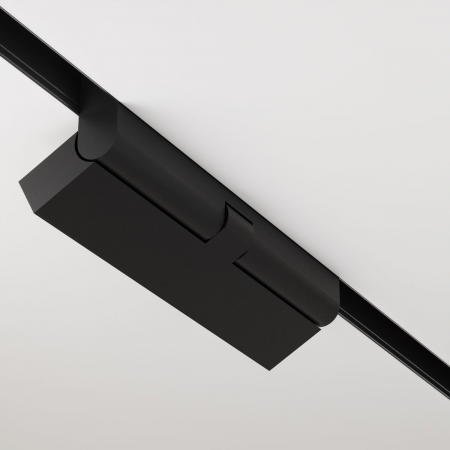 Maytoni TR033-2-12W3K-B