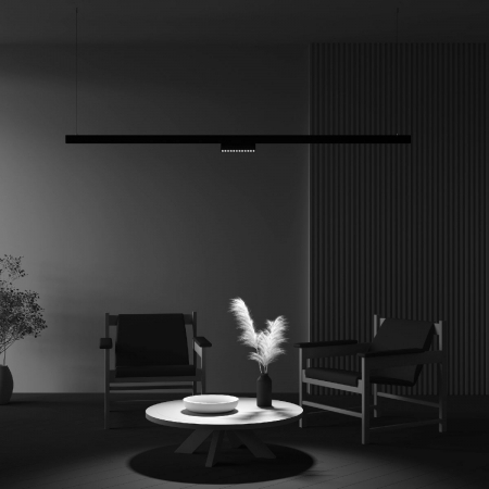 Maytoni TR033-2-12W4K-B