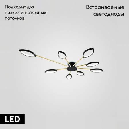 ImperiumLoft 140625-26