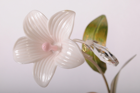 Abrasax STY40032/1В