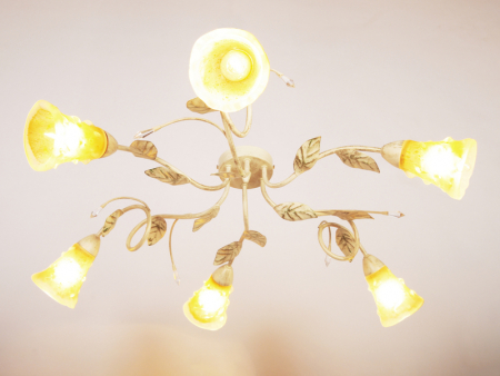 Abrasax 163PL6Y2-385