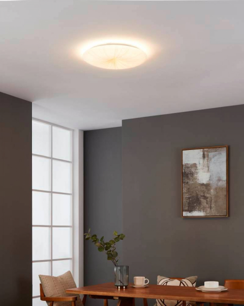 Потолочный светильник Eglo Nieves 1 900499