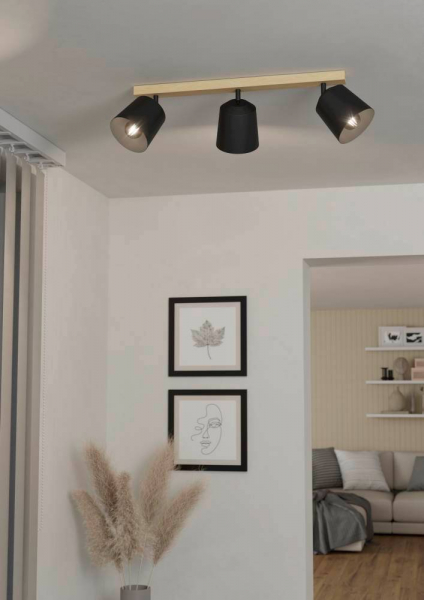 Спот Eglo Cotorro 900433