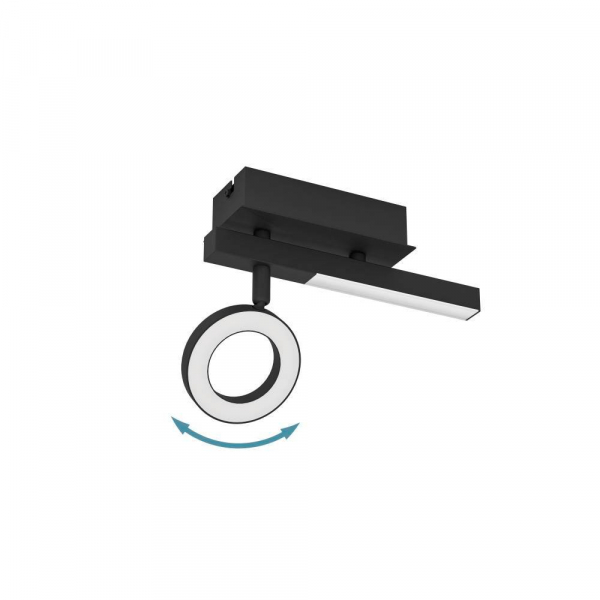 Спот Eglo Cardillio 2 900513