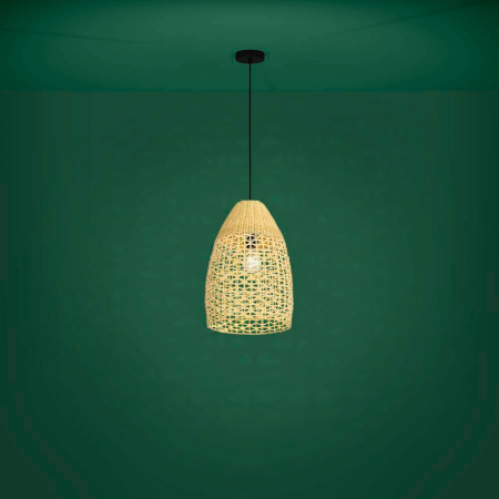 Eglo 390237