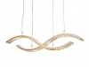Newport 8242/110 gold