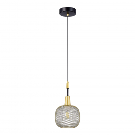 Evoluce SLE1137-403-01