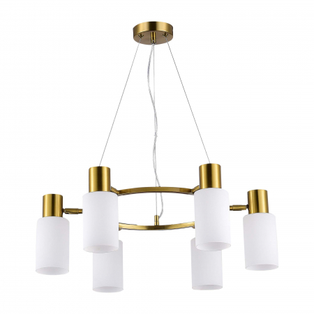 Evoluce SLE1139-303-06