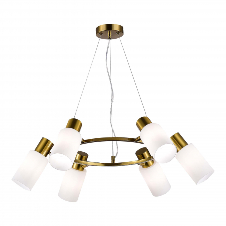 Evoluce SLE1139-303-06