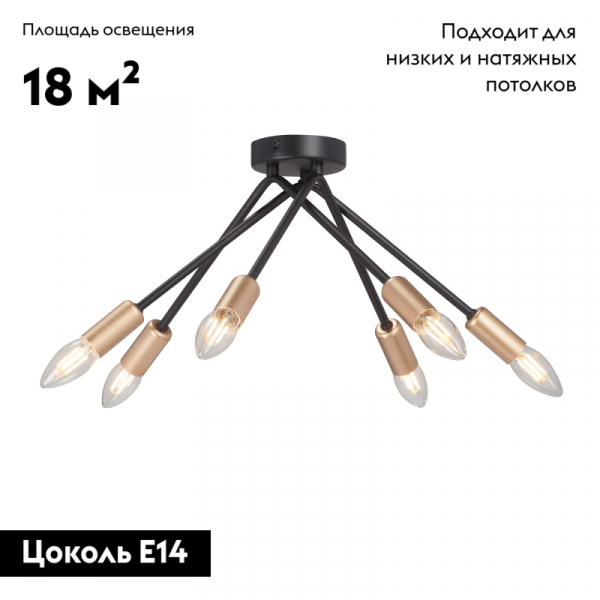 Потолочная люстра Vitaluce V3021-1/6PL