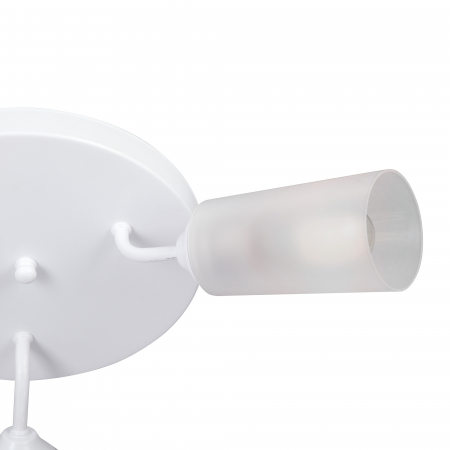 Vitaluce V3762-0/3PL