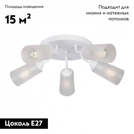 Vitaluce V3762-0/5PL