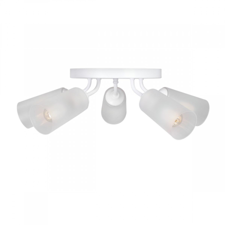 Vitaluce V3762-0/5PL