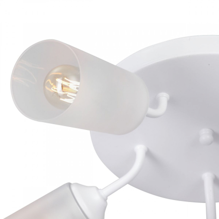 Vitaluce V3762-0/5PL