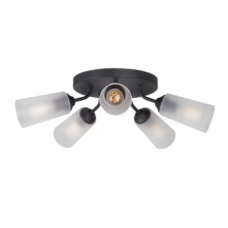 Vitaluce V3762-1/5PL