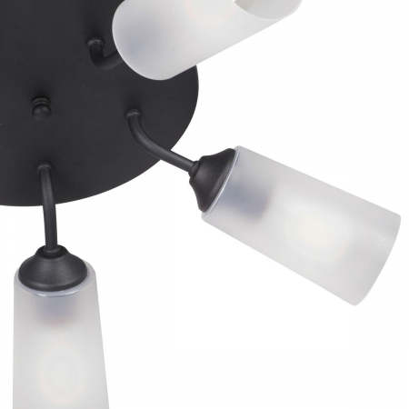 Vitaluce V3762-1/5PL