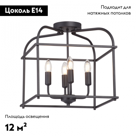 Vitaluce V3768-1/4PL