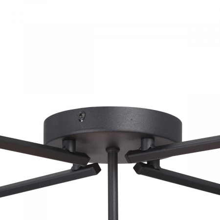 Vitaluce V3768-1/4PL