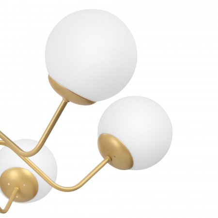 Vitaluce V4274-8/6PL