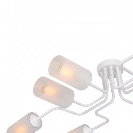 Vitaluce V4310-0/8PL