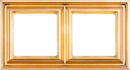 Рамка двухместная Jung EPD482GO