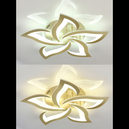 Natali Kovaltseva INNOVATION STYLE 83058