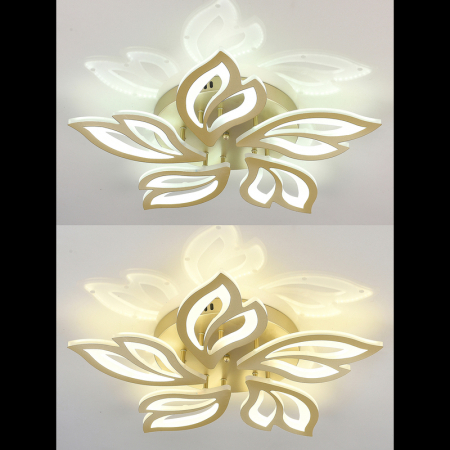 Natali Kovaltseva INNOVATION STYLE 83059