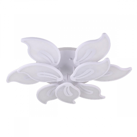 Natali Kovaltseva LED LAMPS 81154