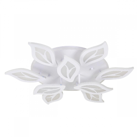 Natali Kovaltseva LED LAMPS 81156