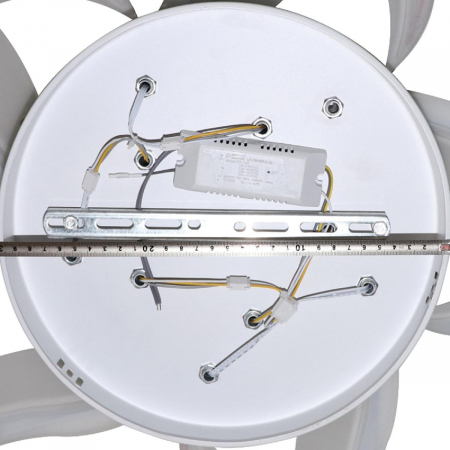 Natali Kovaltseva LED LAMPS 81212