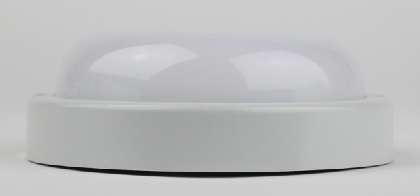 Настенно-потолочный светильник Эра SPB-201-0-65K-015 Б0047624