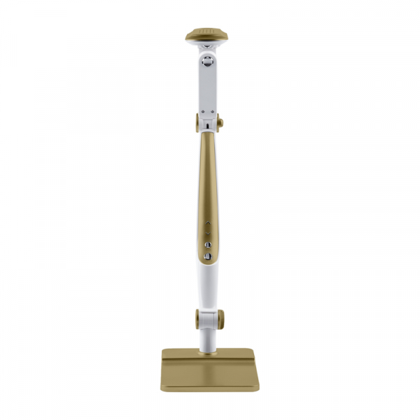 Настольная лампа Эра NLED-497-12W-G Б0052773