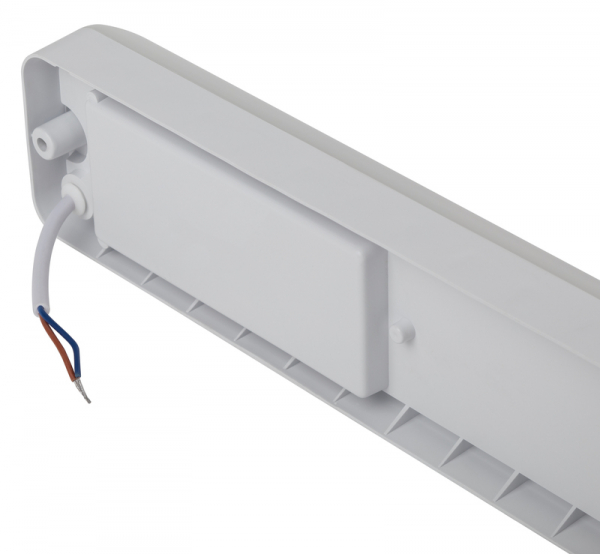 Настенно-потолочный светильник Эра SPB-103-2-40K-012 Б0052938