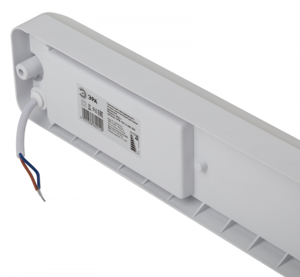 Настенно-потолочный светильник Эра SPB-103-2-40K-020 Б0052940