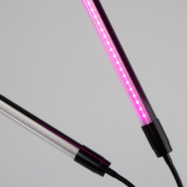 Светильник для растений Эра FITO-20W-АLED-N Б0053059