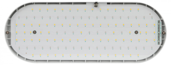 Подвесной светильник для растений Эра FITO-25W-QLED-FLY Б0053062