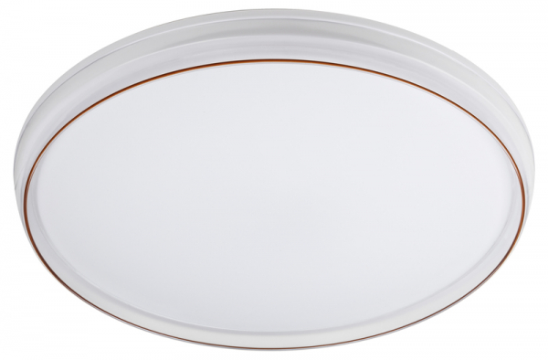 Потолочный светильник Эра SPB-6-80-RC Solar Б0054484