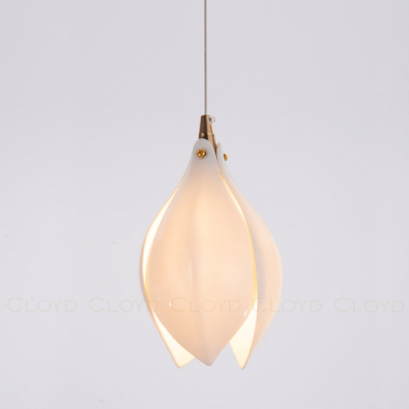 Cloyd 10955
