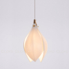 Cloyd 10955