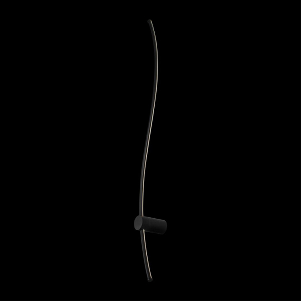 Настенный светильник Loft IT Rays 10154 BK