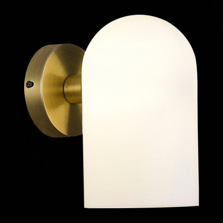 Evoluce SLE1047-301-01