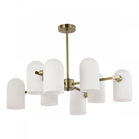 Evoluce SLE1047-302-08