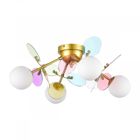 Evoluce SLE2502-202-04